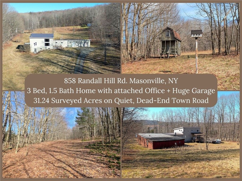858 Randall Hill Road, Masonville, NY 13839