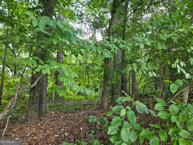 LOT 1 June Ivey Road, Bethlehem, GA 30620