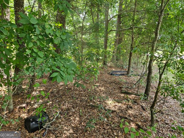 LOT 1 June Ivey Road, Bethlehem, GA 30620