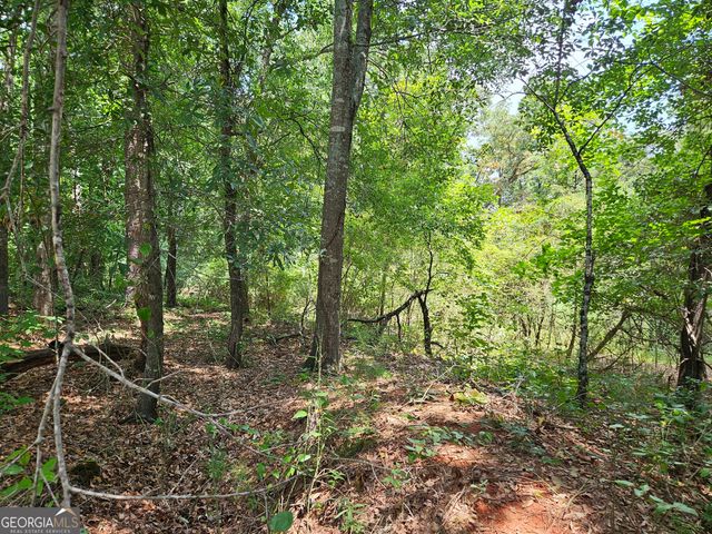 LOT 1 June Ivey Road, Bethlehem, GA 30620