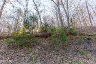 Douglas Dam Rd, Kodak, TN 37764