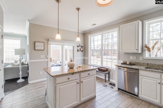 117 Hobden Court, Lexington, SC 29073