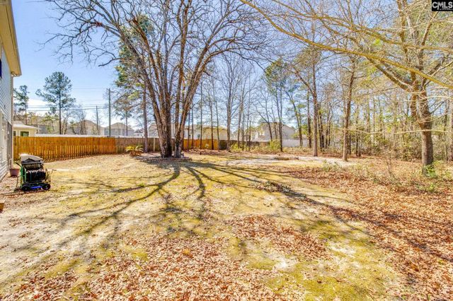 117 Hobden Court, Lexington, SC 29073