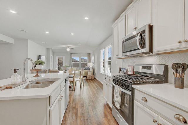 17701 Owl Tree RD, Manor, TX 78653