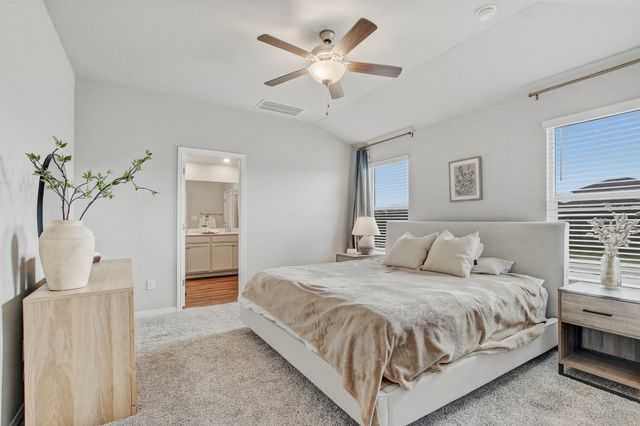 17701 Owl Tree RD, Manor, TX 78653