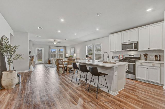 17701 Owl Tree RD, Manor, TX 78653