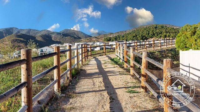 311 SATSUMA TRAIL, Fallbrook, CA 92028