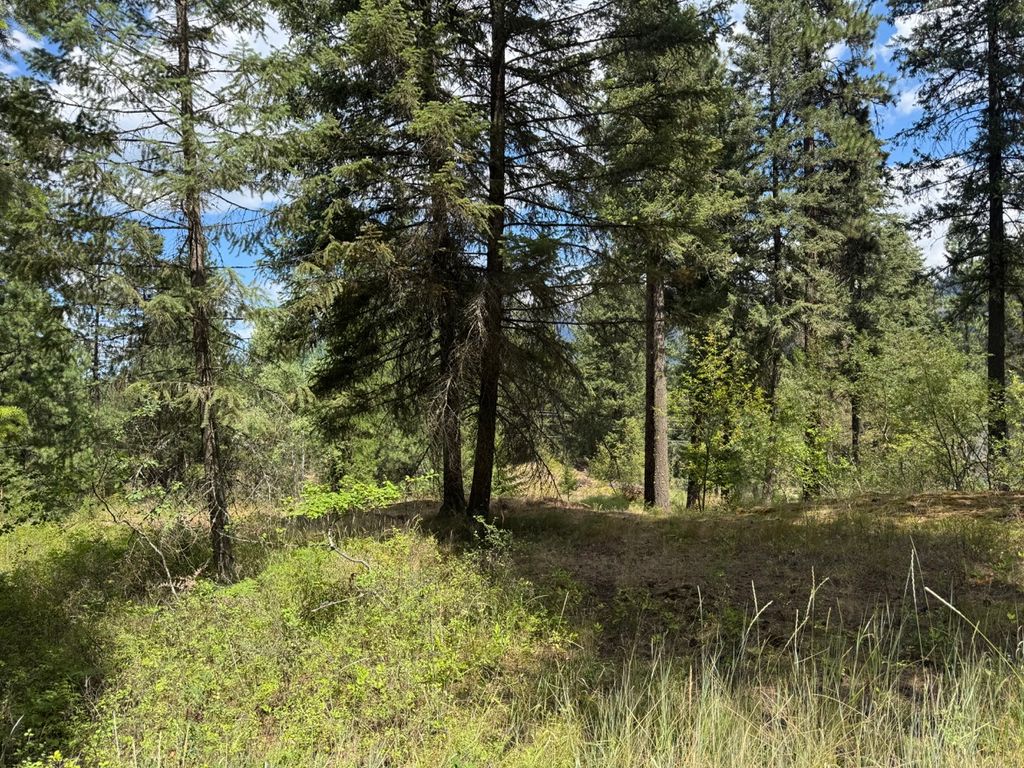 NHN Cornerstone Road, Thompson Falls, MT 59873 photo 2