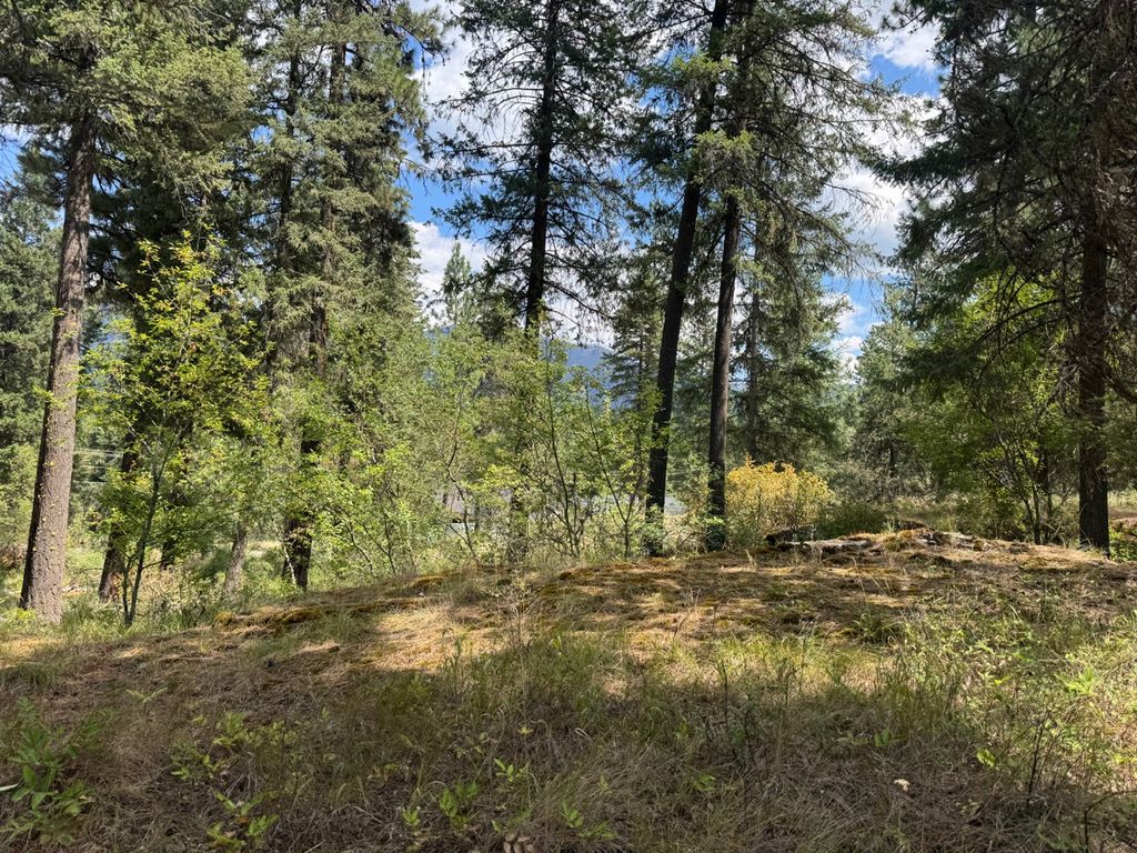 NHN Cornerstone Road, Thompson Falls, MT 59873 photo 3