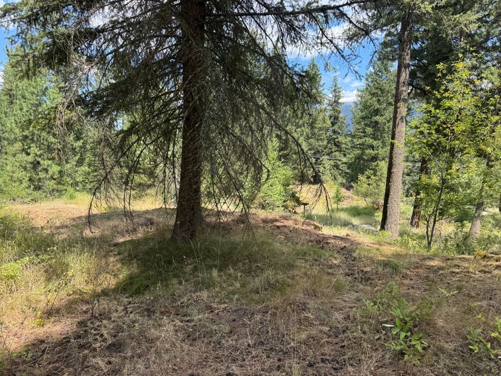 NHN Cornerstone Road, Thompson Falls, MT 59873 photo 4