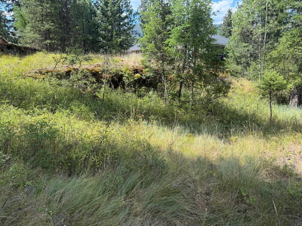 NHN Cornerstone Road, Thompson Falls, MT 59873 photo 7