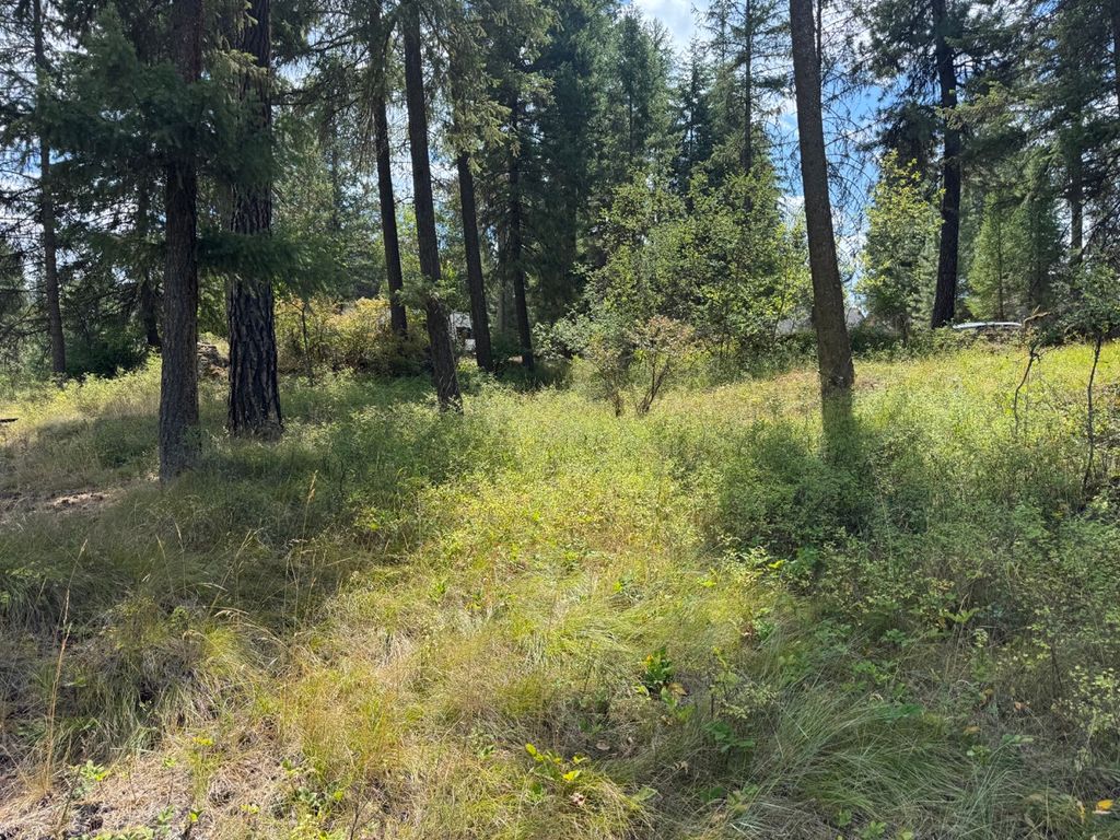 NHN Cornerstone Road, Thompson Falls, MT 59873 photo 9