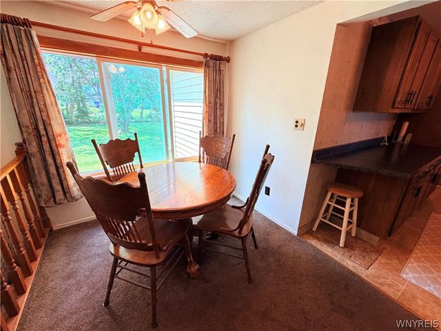 3920 Brian Court, Hamburg, NY 14075