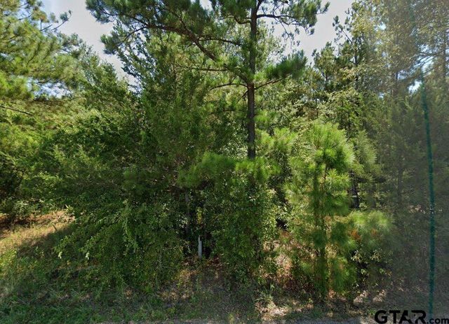 10834 County Road 4162, Tyler, TX 75704