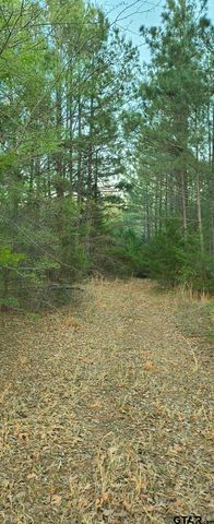 10834 County Road 4162, Tyler, TX 75704