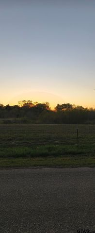 10834 County Road 4162, Tyler, TX 75704