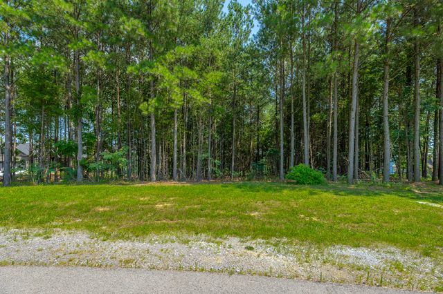 0 Crockett Loop Jf65, Jasper, TN 37347