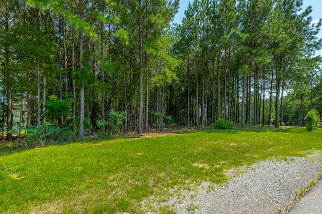 0 Crockett Loop Jf65, Jasper, TN 37347