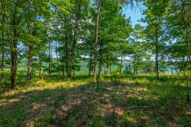 0 Crockett Loop Jf65, Jasper, TN 37347