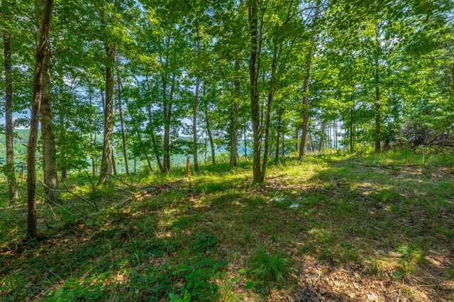 0 Crockett Loop Jf65, Jasper, TN 37347