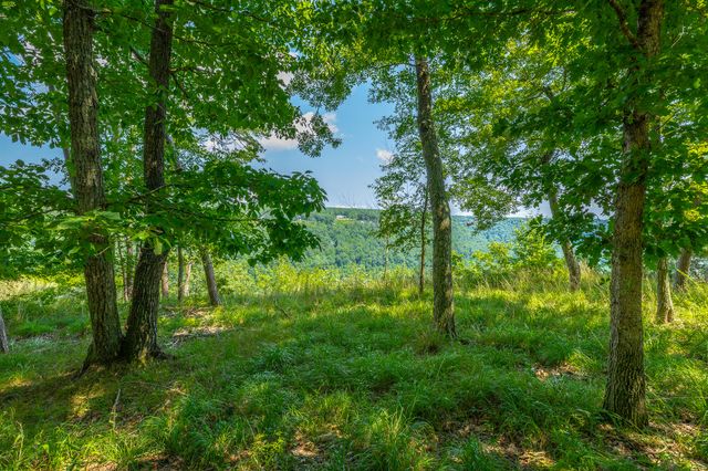 0 Crockett Loop Jf65, Jasper, TN 37347