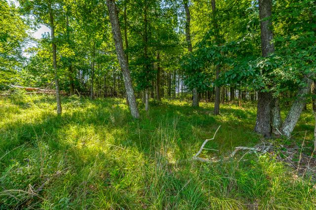 0 Crockett Loop Jf65, Jasper, TN 37347
