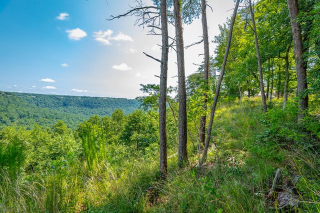 0 Crockett Loop Jf65, Jasper, TN 37347