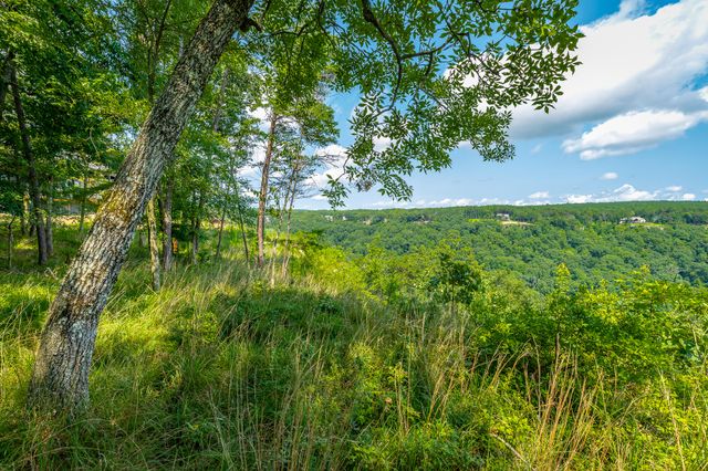 0 Crockett Loop Jf65, Jasper, TN 37347