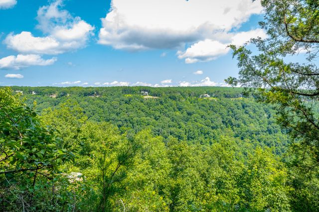0 Crockett Loop Jf65, Jasper, TN 37347