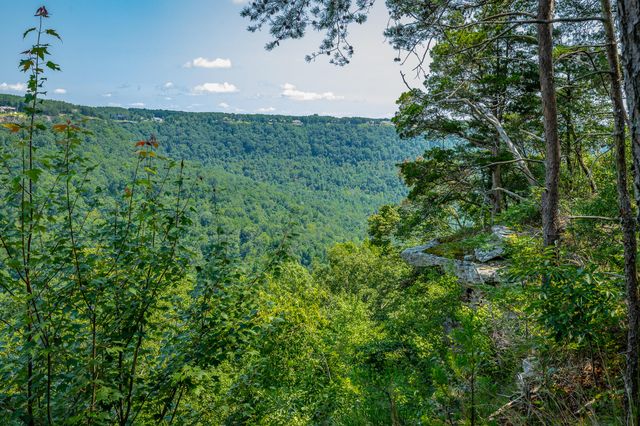 0 Crockett Loop Jf65, Jasper, TN 37347
