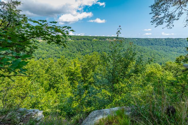 0 Crockett Loop Jf65, Jasper, TN 37347