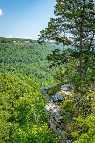0 Crockett Loop Jf65, Jasper, TN 37347