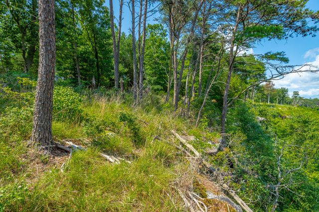 0 Crockett Loop Jf65, Jasper, TN 37347