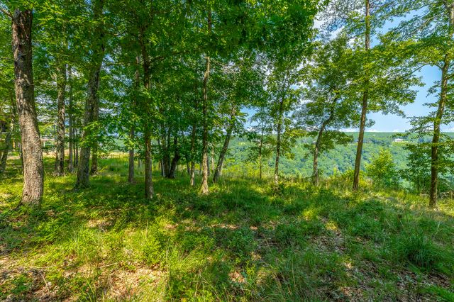 0 Crockett Loop Jf65, Jasper, TN 37347