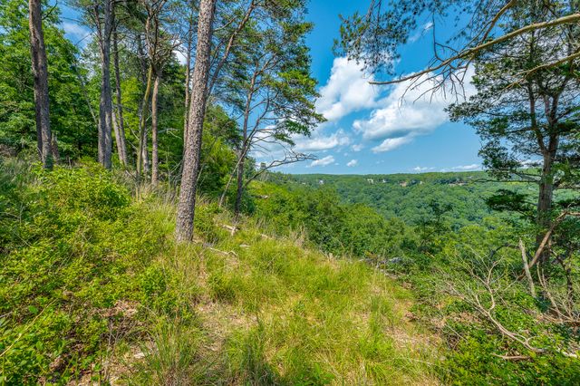 0 Crockett Loop Jf65, Jasper, TN 37347