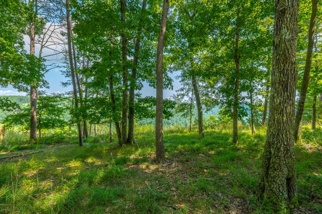 0 Crockett Loop Jf65, Jasper, TN 37347