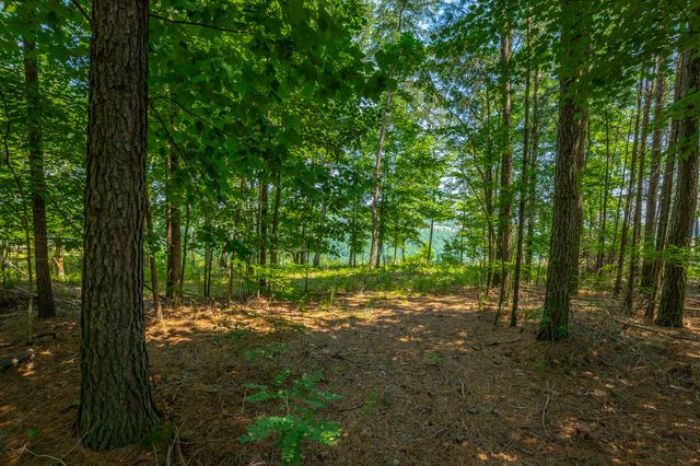 0 Crockett Loop Jf65, Jasper, TN 37347