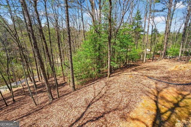 1858 Newport Drive 3141, Ellijay, GA 30540