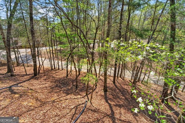 1858 Newport Drive 3141, Ellijay, GA 30540