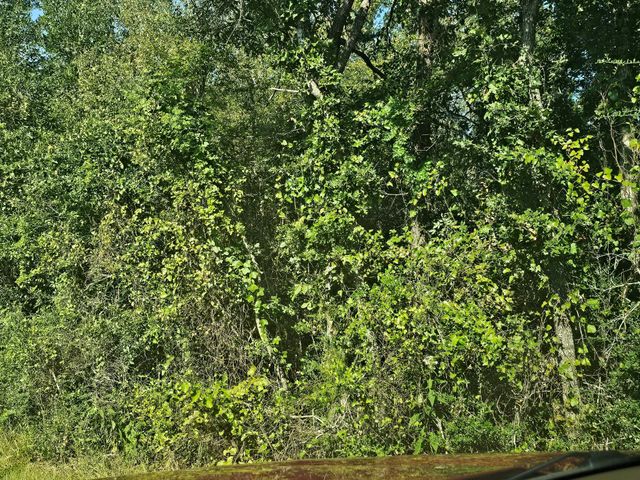 TBD Woodfarm Road, Huntsville, TX 77320