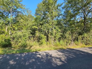 TBD Woodfarm Road, Huntsville, TX 77320