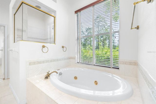 10102 DEERCLIFF DRIVE, Tampa, FL 33647