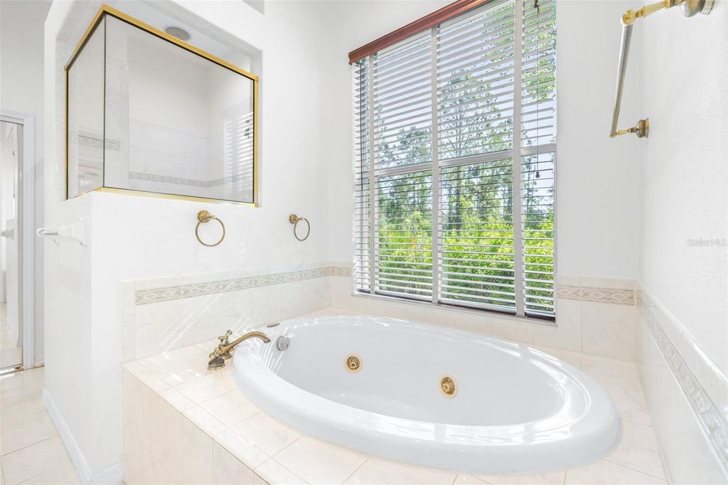 Image 28 of property listing at 10102 DEERCLIFF DRIVE, Tampa, FL 33647