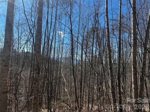 00 Grace Ridge Road, Bakersville, NC 28705