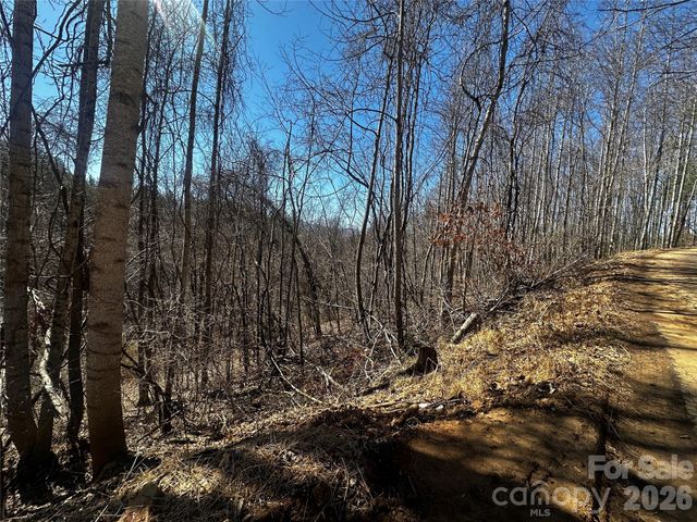 00 Grace Ridge Road, Bakersville, NC 28705