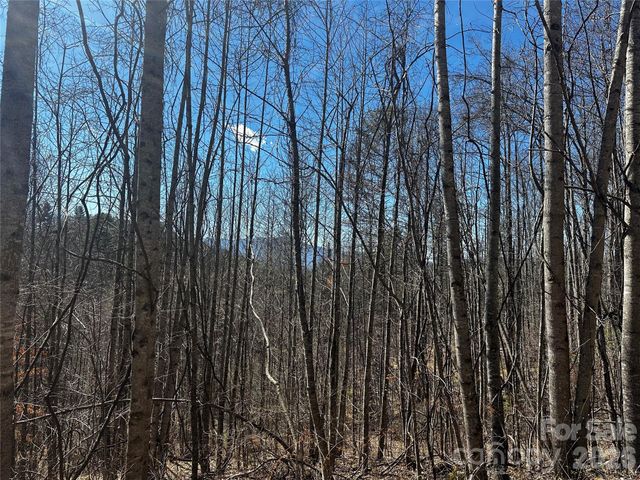 00 Grace Ridge Road, Bakersville, NC 28705