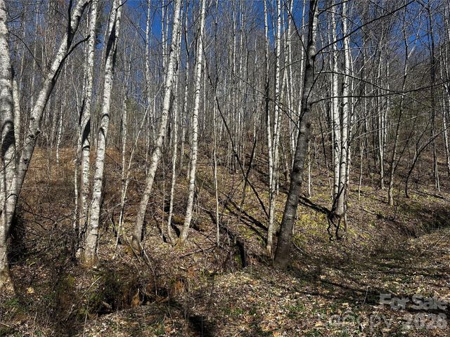 00 Grace Ridge Road, Bakersville, NC 28705