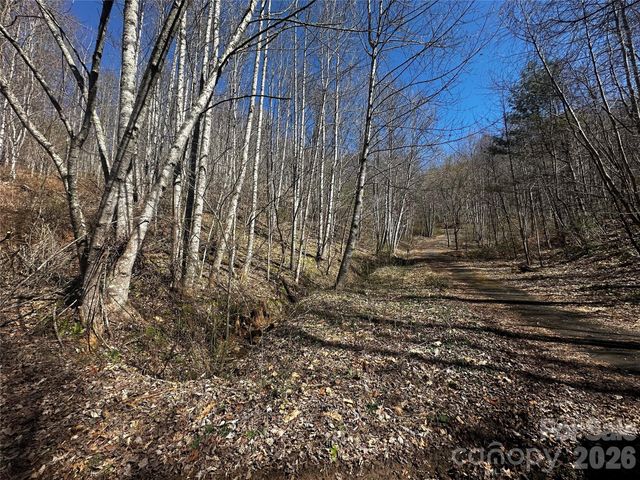 00 Grace Ridge Road, Bakersville, NC 28705