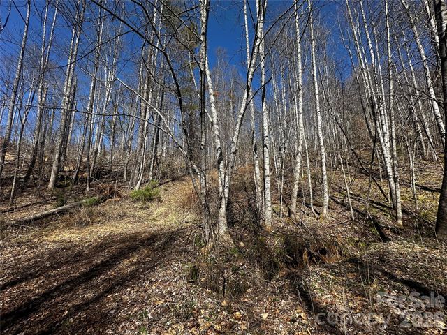 00 Grace Ridge Road, Bakersville, NC 28705