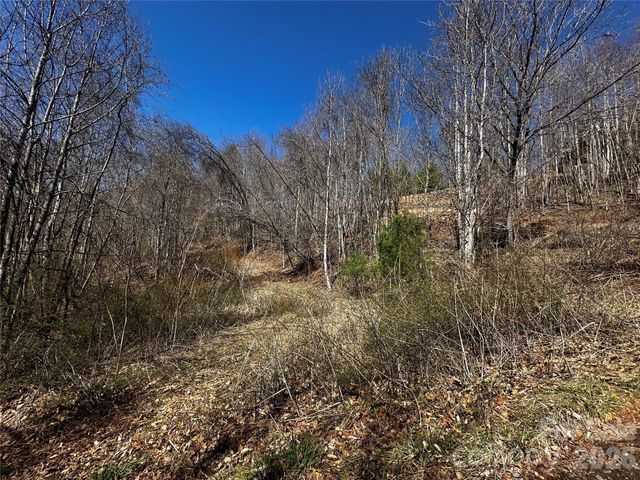 00 Grace Ridge Road, Bakersville, NC 28705